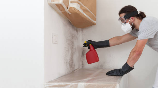 Professional Attic Mold Remediation technician working in Henderson, TN