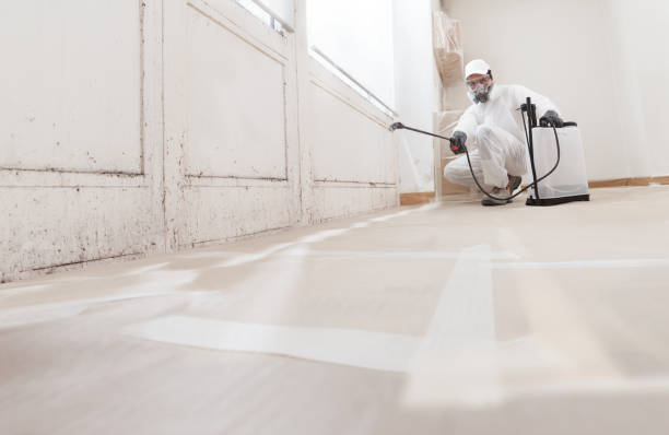 24/7 Emergency Attic Mold Remediation experts in Henderson, TN